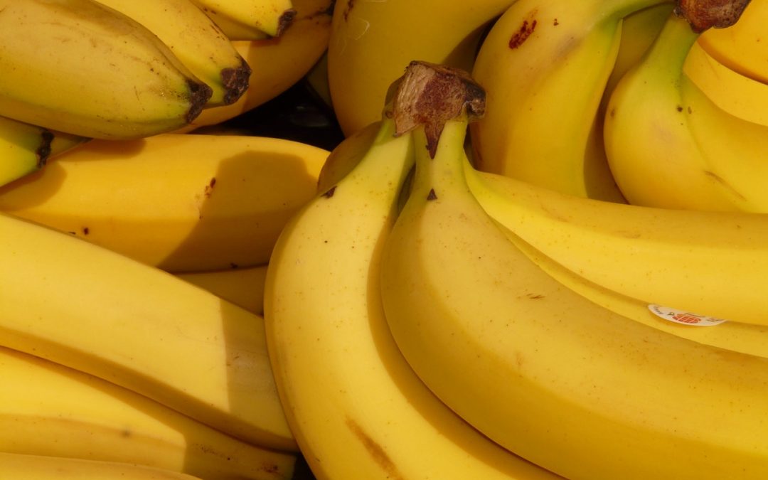You Can Learn a Lot About Success from Bananas – Part 1